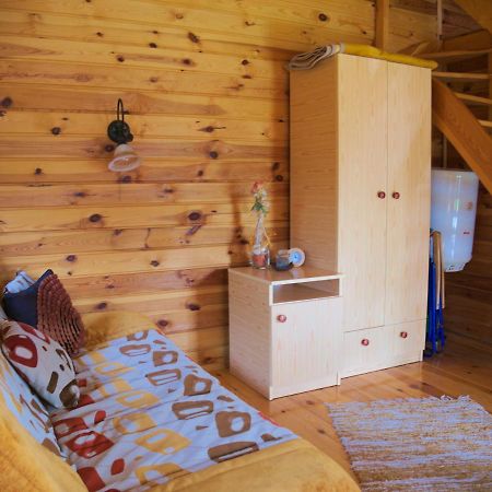 Agroturystyka Pod Jesionem2 Wladyslawowo Exterior foto